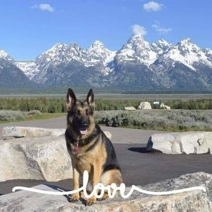 Meet your Posher, Ann